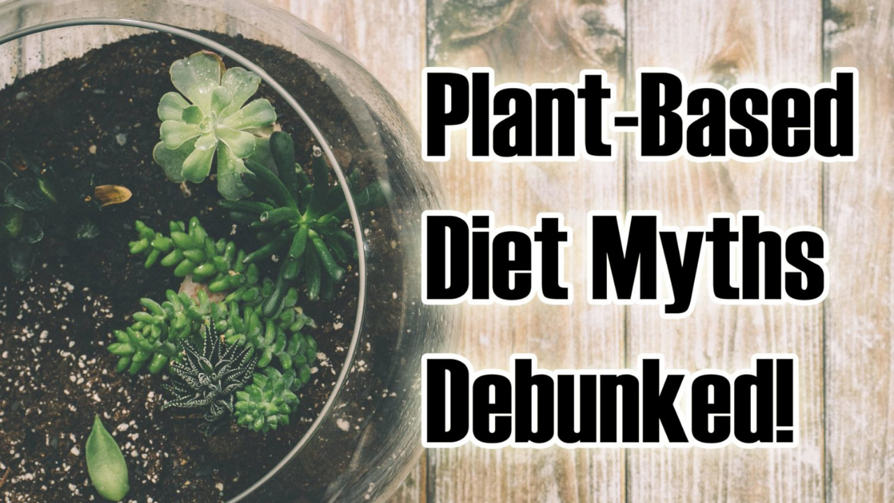 4 Common plant based diet myths debunked